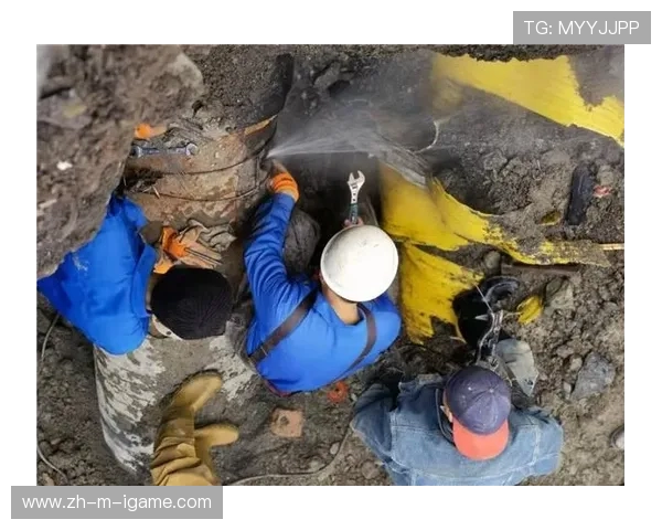 新疆广汇产业布局与多元化发展路径研究探索