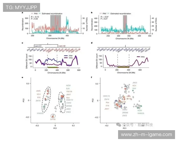 数据分析揭示WE团队成员心理素质的多维表现与影响因素探讨